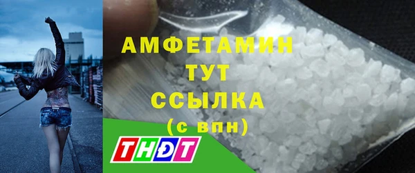 твердый Гусь-Хрустальный