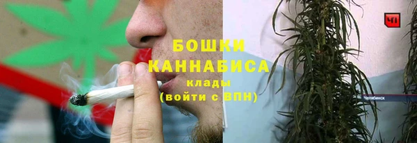 ГАЛЛЮЦИНОГЕННЫЕ ГРИБЫ Гусев