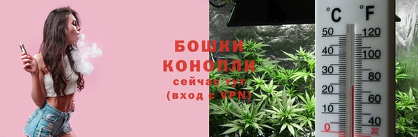 стаф Гусиноозёрск