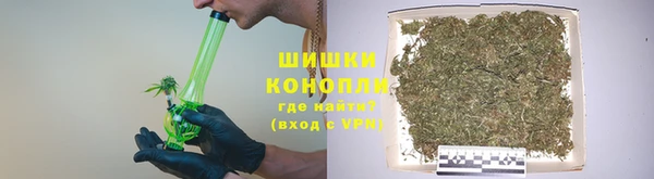 сатива Кукмор
