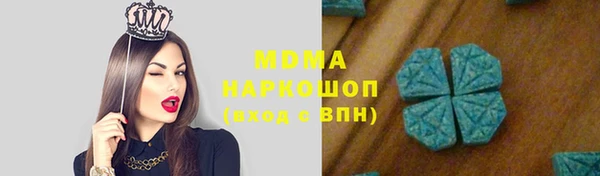 ГАЛЛЮЦИНОГЕННЫЕ ГРИБЫ Гусев