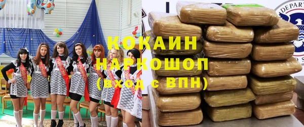 ГАЛЛЮЦИНОГЕННЫЕ ГРИБЫ Гусев