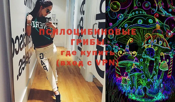 стаф Гусиноозёрск