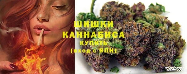 стаф Гусиноозёрск