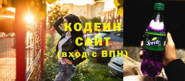 ГАЛЛЮЦИНОГЕННЫЕ ГРИБЫ Гусев