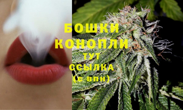 ГАЛЛЮЦИНОГЕННЫЕ ГРИБЫ Гусев