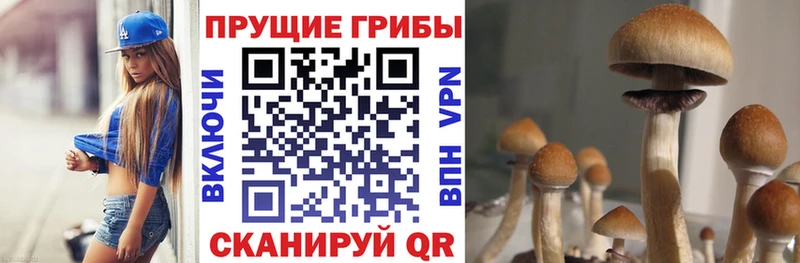 Галлюциногенные грибы ЛСД  сайты даркнета формула  Михайлов  где купить  